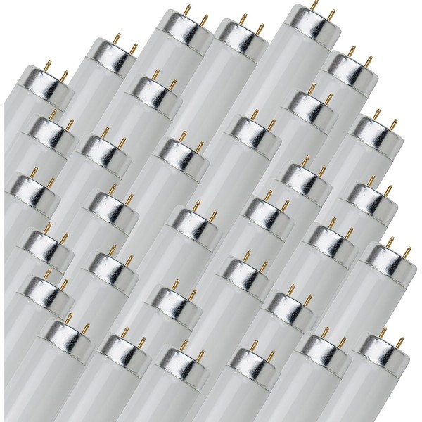 Diodesy- Straight T12 Fluorescent Tube Light Bulb 24 Inch 20W