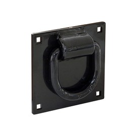 Buyers Products B40MP D-Ring (D-Ring, Kit,W/Mtging Plate and Carriage) , black