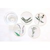 toumei Pressed Flower B Coasters Set of 4 in a
