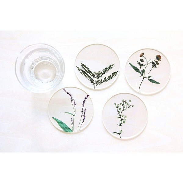 toumei Pressed Flower B Coasters Set of 4 in a Wooden Box