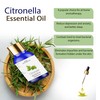 Sage Apothecary Natural Citronella Essential Oil - 10 ML