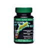 T-Rex Day Gecko Diet Super Food