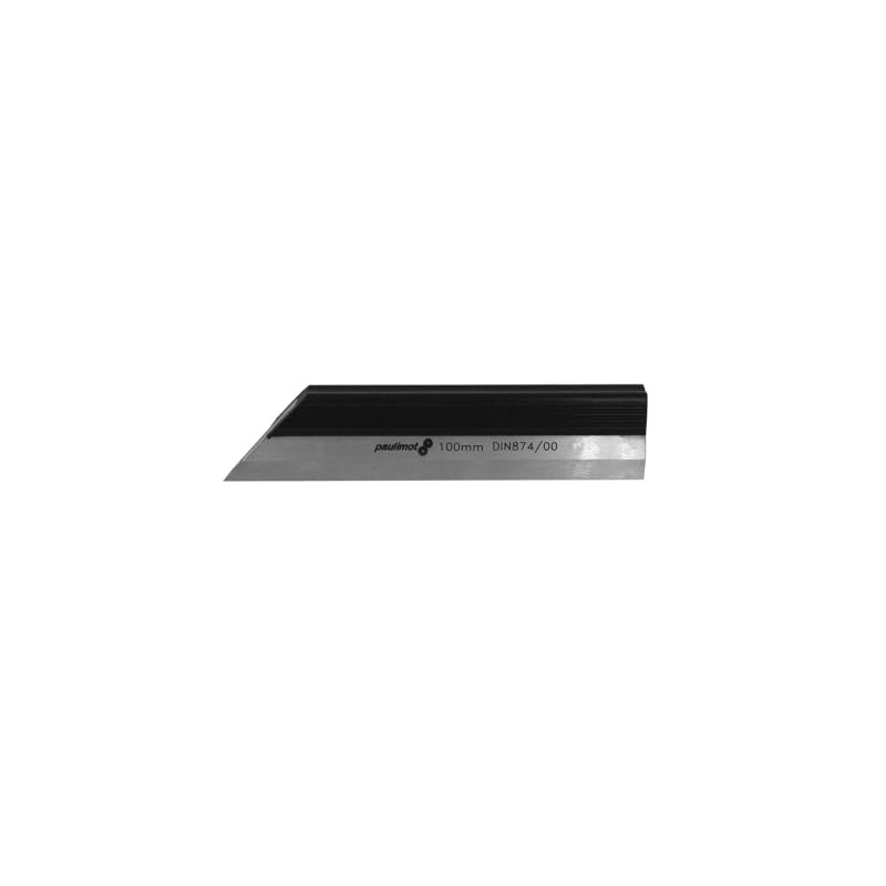 PAULIMOT Precision Hair Ruler 100 mm DIN 874/00 Rustproof