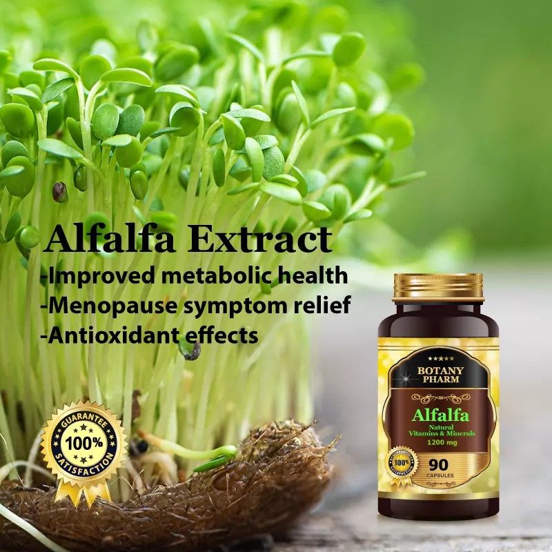 Alfalfa Extract, Vitamins, Minerals, Chlorophyll Antioxidant Green Superfood
