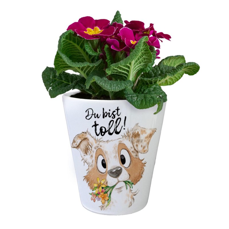 Dog Flower Pot with Saying "Du bist toll Hundemensch Aussie