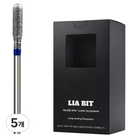 BESSIE Leahbit diamond angle XF nail bit, 5 pieces, silver / BESSIE 리아비트 다이아앵글 XF 네일비트, 5개, 실버