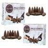 TRUMIRI Palo Santo Backflow Incense Cones - Total 20 Incense