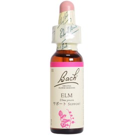 Batch Flower Elm 10ml Support