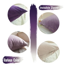 GONOVE Cushion Covers 45x 45cm Soft Velvet Colorful Cushions Luxury Scatter Pillowcases Decorative Fluffy Cushions Pillow Cover Set of 4 for Bed Sofa Livingroom Purple Series