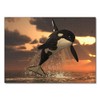 Lais Puzzle Orca 1000 Pieces