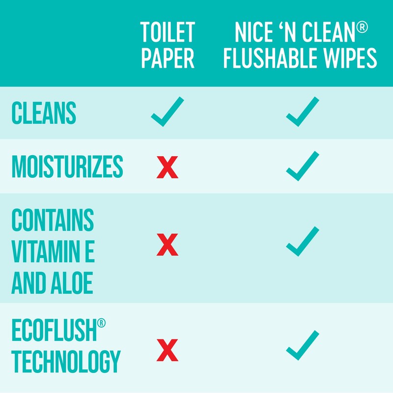 Nice 'N Clean Adult Flushable Wipes (8 x 42 Count)