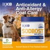 SODBOST Dog Allergy & Itch Relief, Cat Skin & Coat