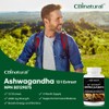 Ashwagandha 12:1 Extract, 6000 mg Strength, 120 Vegan Capsules, 4-Month
