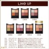 Excel Real Close CS16 Eyeshadow, Color: Hot Cache Cool