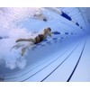 SwedSafe Ear Plugs for Musicians and Swimmers - Concert and