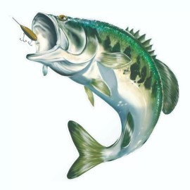 Arlon Large Mouth Bass Sticker, Decal, Bumper Sticker Truck, Fishing, Boat Stickers - 3.5 x 3.5 Inches