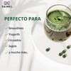 Daimel | Alga Espirulina Pura En Polvo 1kg Superfood Orgánica