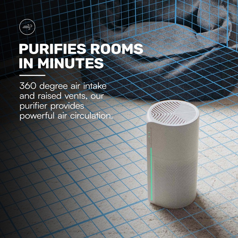 Raycon Room Air Purifier, H13 Replaceable HEPA Filter, Air Quality