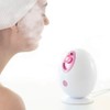 InnovaGoods Moispa Electric Facial Sauna