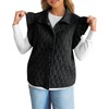 Cicy Bell Womens Ruffle Cap Sleeve Puffer Vests Quilted Trendy