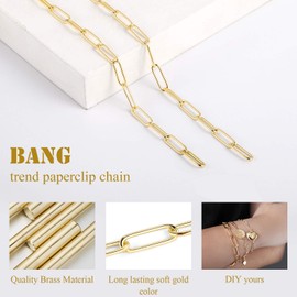 ALEXCRAFT 12 Feet 14K Dainty Gold Plated Brass Paperclip Chain Link Bulk for Jewelry Making