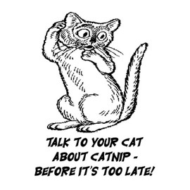 CafePress Talk to Your CAT About Catnip Memory Keepsake Jewelry Box, 5"x5"x3.75"