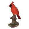Wild Northern Red Cardinal Bird Perching on Tree Stump Spring