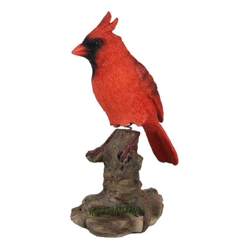 Wild Northern Red Cardinal Bird Perching on Tree Stump Spring