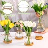Glass Bulb Vases for Flowers Forcing Hyacinth Clear Decorative Bulb