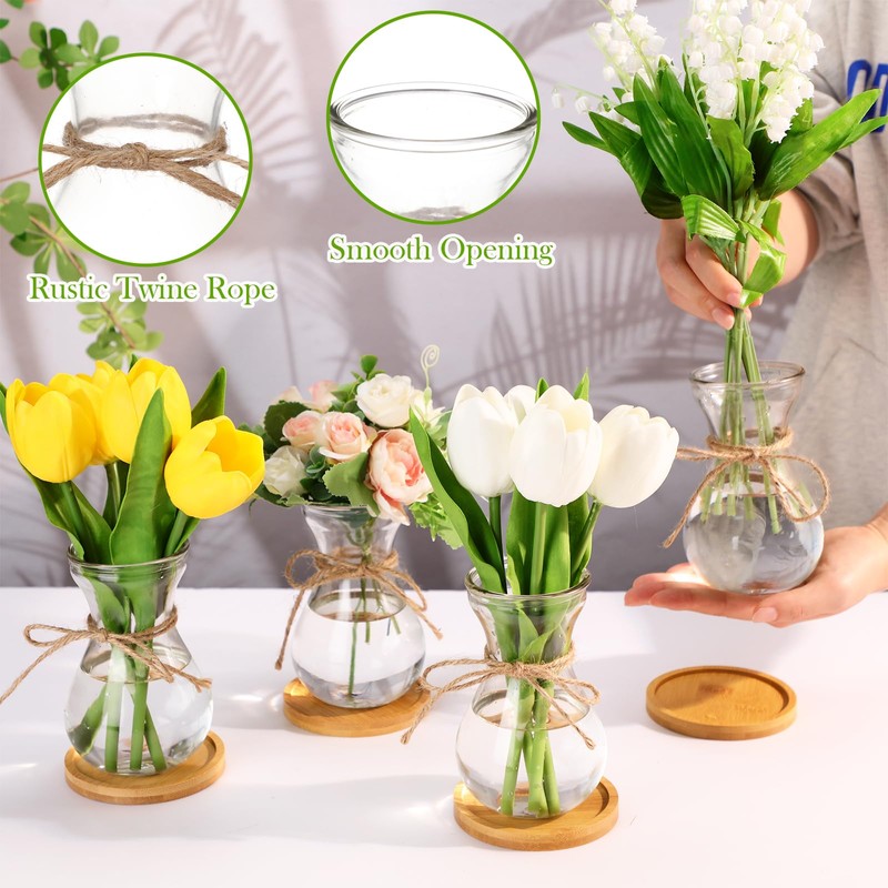 Glass Bulb Vases for Flowers Forcing Hyacinth Clear Decorative Bulb
