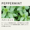 Tree of Life Peppermint Essential Oil 10ml AEAJ Certified Essential