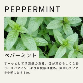 Tree of Life Peppermint Essential Oil 10ml AEAJ Certified Essential Oil Essential Oil Aroma Oil Natural Herb