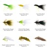 BASSDASH 18pcs Bass Fly Fishing Flies, Dry Wet Flies Poppers