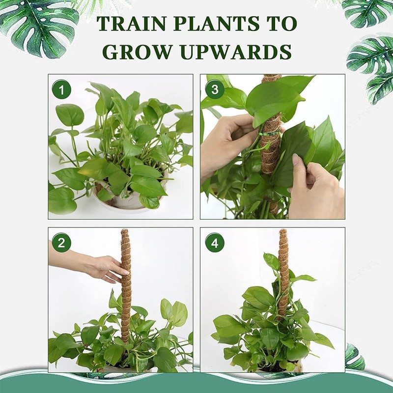 Monstera Stanches 1 Pack 120cm, Higo Stanches Can Be Bended