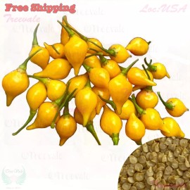 Treevale Biquinho Yellow Hot Pepper Seeds | Little Beak, Sweaty Drops Seeds | NON-GMO - 50 Seeds