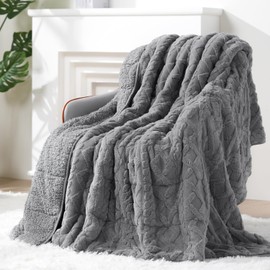 Eazfy Pro Super Soft Fuzzy Sherpa Fleece Weighted Blanket, 15 lbs Dual Sided Fluffy Heavy Weighted Blankets for Adults - No Bunching with Double Layers of Soft Inner Lining (48"x 72", 15 Pounds)