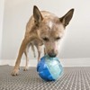 KONG - Rewards Ball - Ultra Durable Interactive Treat Dispensing