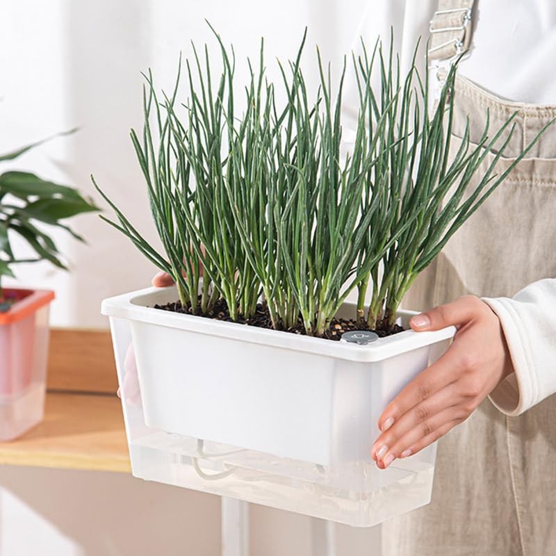 AIMALL Self-Watering Square Planter for Indoor Gardening, Balcony Vegetable Pot