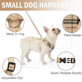 PUPTECK Dog Harness Leash with 2 Pack Collars