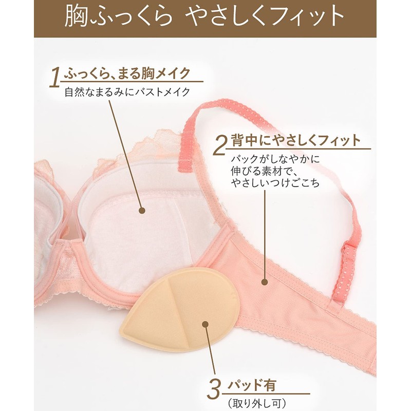 Wing/Wacoal 2820 Wing Lesiage PB2820 Brass, Plump Chest Makeup, Gently