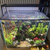 Magnetic Aquarium lid Fish Tank Hood top Cover Anti-Jumping net