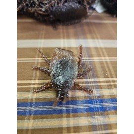 40 Jumbo Cockroach Insects Bugs Decor Joke Party Roach