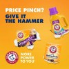 Arm & Hammer 13.5 lbs. Arm & Hammer Pure Baking