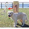 PENTA ANGEL 4Pcs Dog Leash Clasp Heavy Duty Snap Hooks