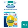Dr. Beckmann Kühlschrank Frische | Kühlschrank-Deo | neutralisiert Gerüche effektiv