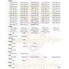 SW-K 1 Piece O-Ring Seal Suitable for Saeco Miele CVA