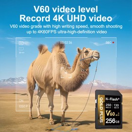 H-Flash V60 SD Card 256GB High Speed, up to 250MB/s Read, 130MB/s Write, Memory Card for Camera, 4K UHD Video, Photographer and Camcorder Professional Storage (V60 256GB)