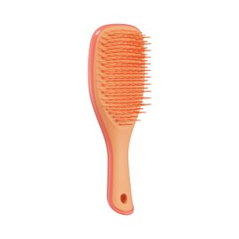 Tangle Teezer Ultimate Detangler Mini Salmon Pink & Apricot, Detangling Hair Brush Small for Children and Travel, Perfect for On the Go Hair Brush without Pulling