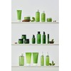 innisfree Green Tea Balancing Cream 1.7 fl oz (50 ml),
