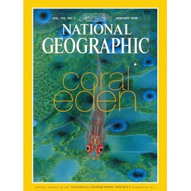 New York Puzzle Company - National Geographic Coral Eden - 500 Piece Jigsaw Puzzle